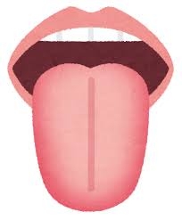 舌