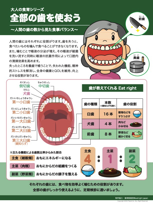 歯の役割