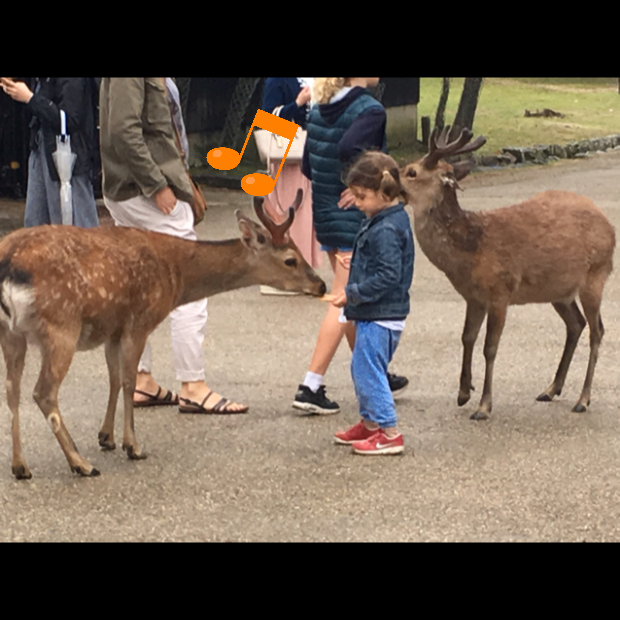 ゴールデンウィークの奈良